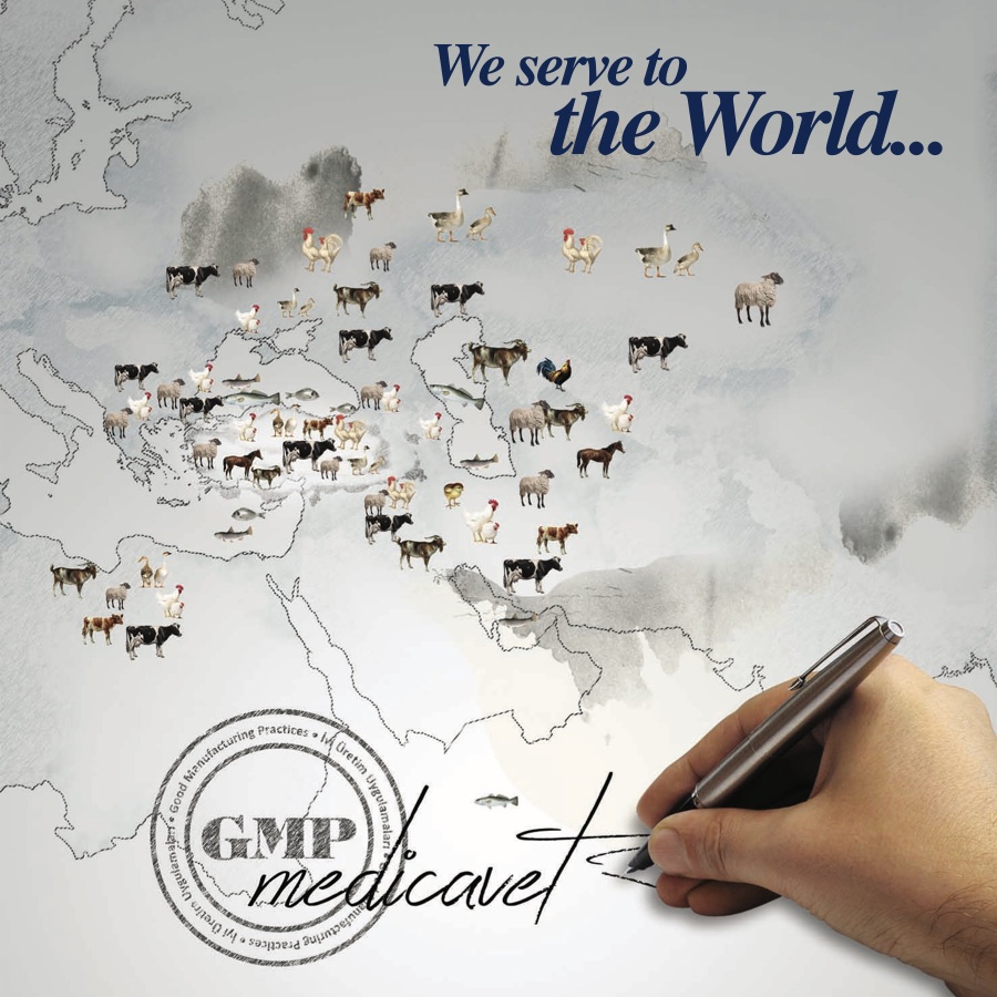 E-Catalog