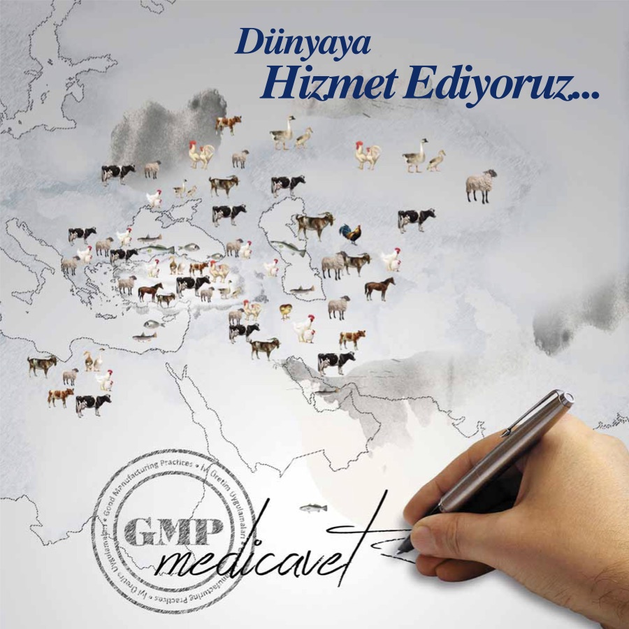 Medicavet E-Katalog