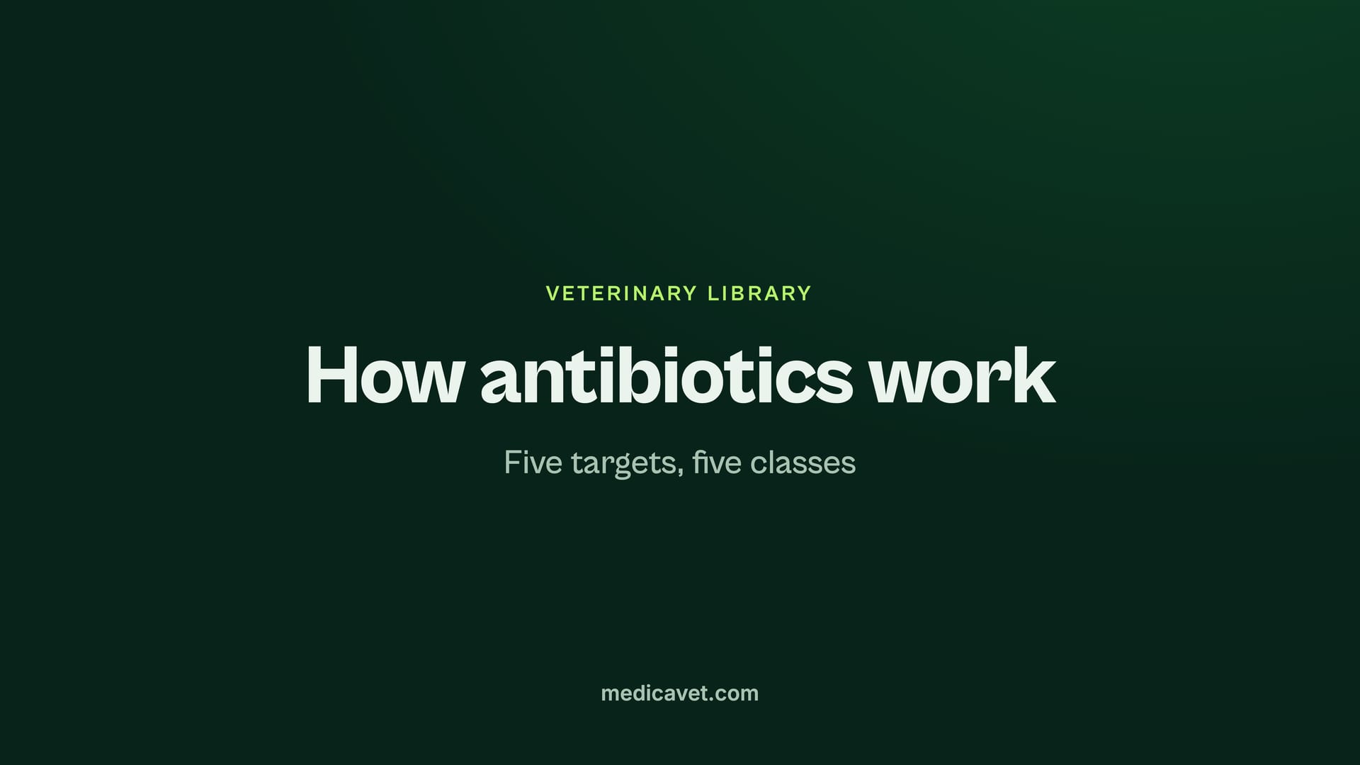 How antibiotics work: five targets