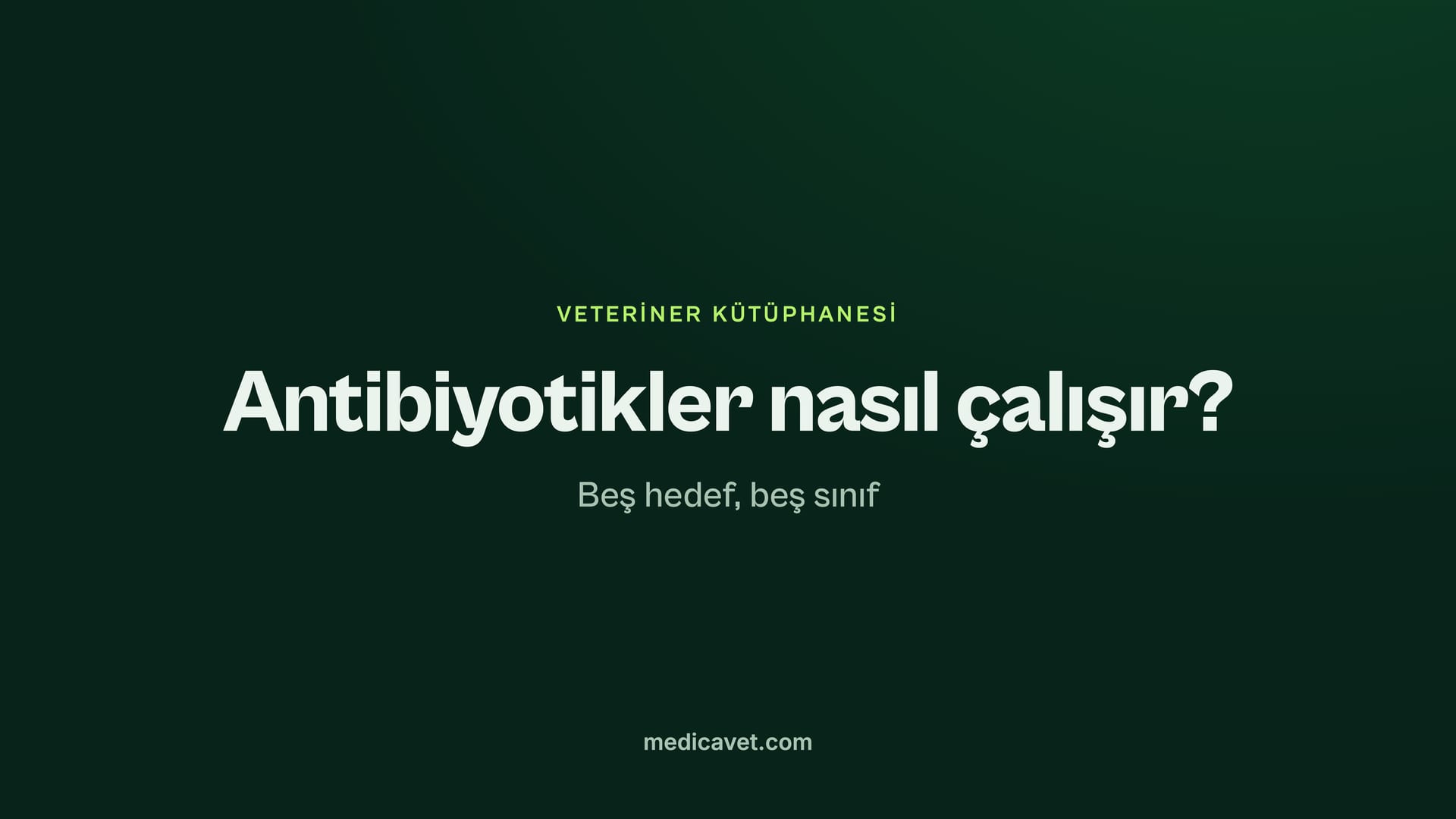 Antibiyotikler nasıl çalışır: beş hedef