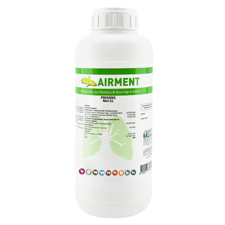 AIRMENT 